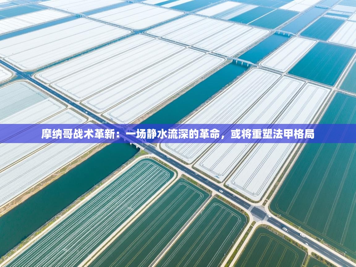 摩纳哥战术革新:一场静水流深的革命,或将重塑法甲格局 第1张